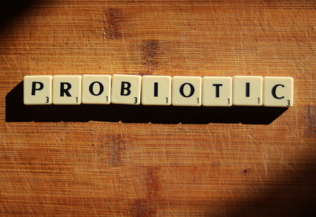 apakah probiotik lebih baik dari fiber