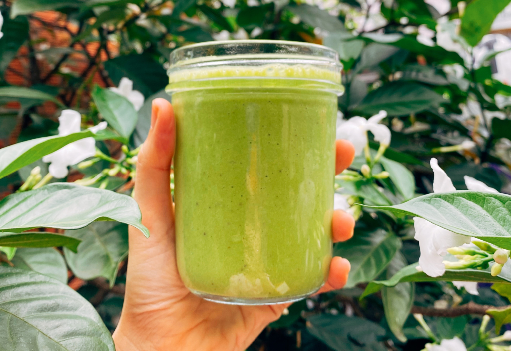 jasa maklon fiber detox apa saja yang didapatkan